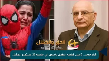 قرار جديد.. تأجيل قضية الطفل ياسين إلى جلسة 20 سبتمبر المقبل
